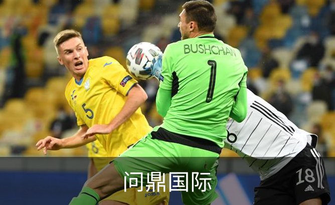 关于问鼎国际